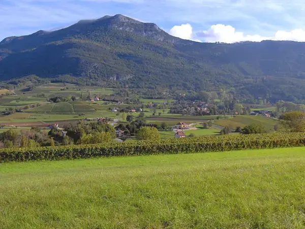 Monte Escalier 73 Monte escalier Billième
