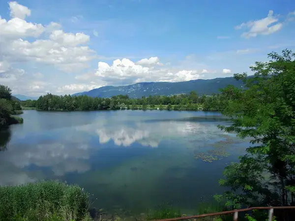 Monte Escalier 73 Monte escalier Serrières-en-Chautagne